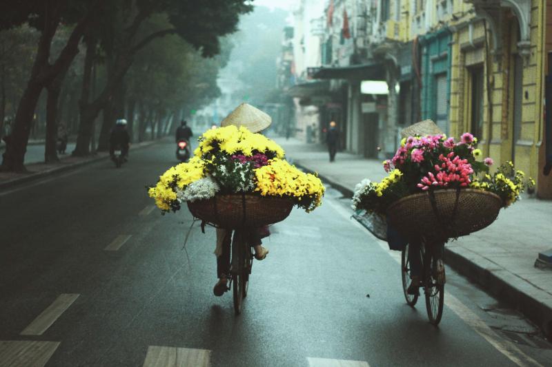 Hanoi - Ho Chi Minh 11D10