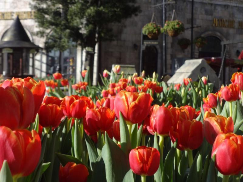 Best Danang Package 5D4N Best Danang Package 5D4N