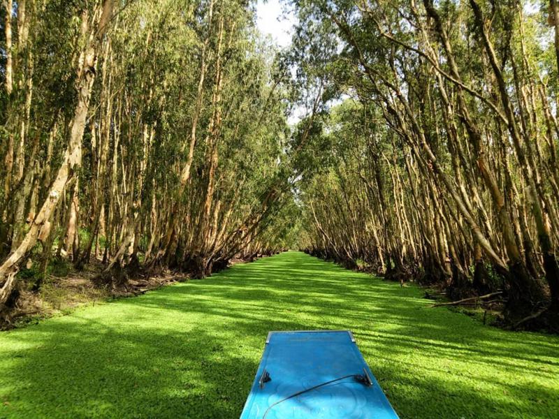 Sai Gon Luxury Vacation 5D4N Sai Gon Luxury Vacation 5D4N